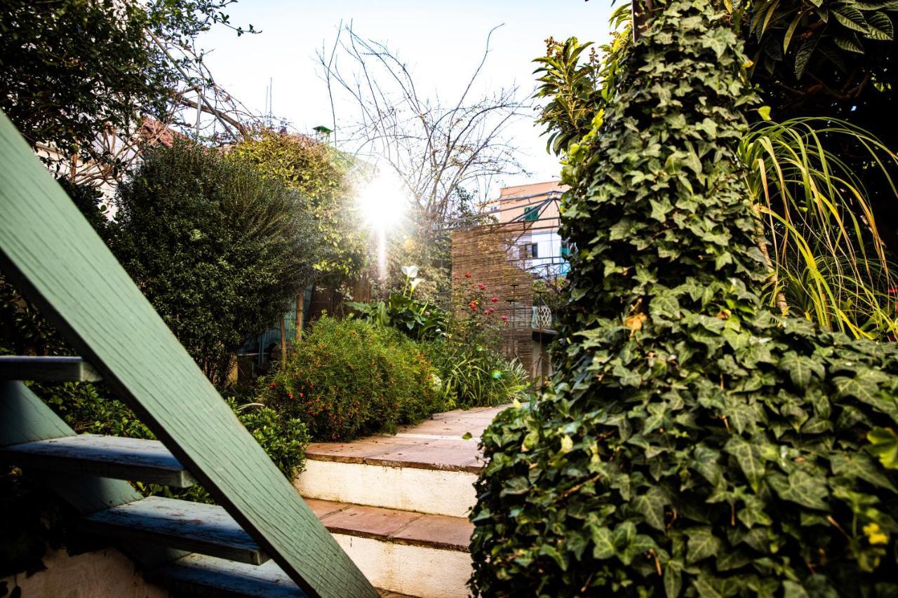 The Lemon Tree Apartment Vilaflor Exterior photo